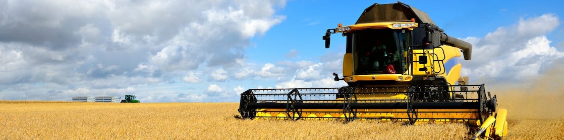 Agriculture