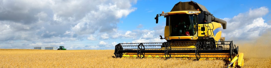 Agriculture