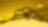 Shell oils and lubricants